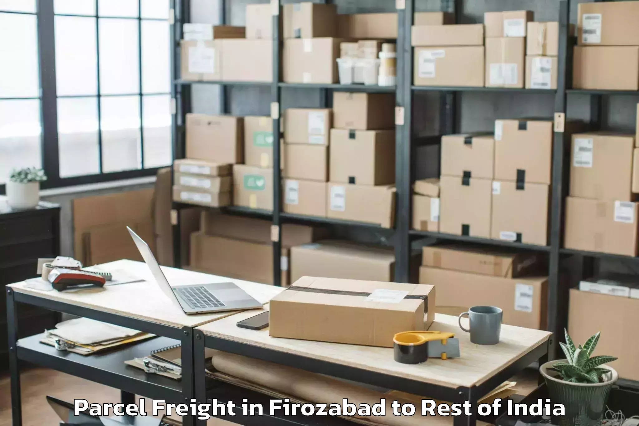 Book Firozabad to Nyapin Parcel Freight Online